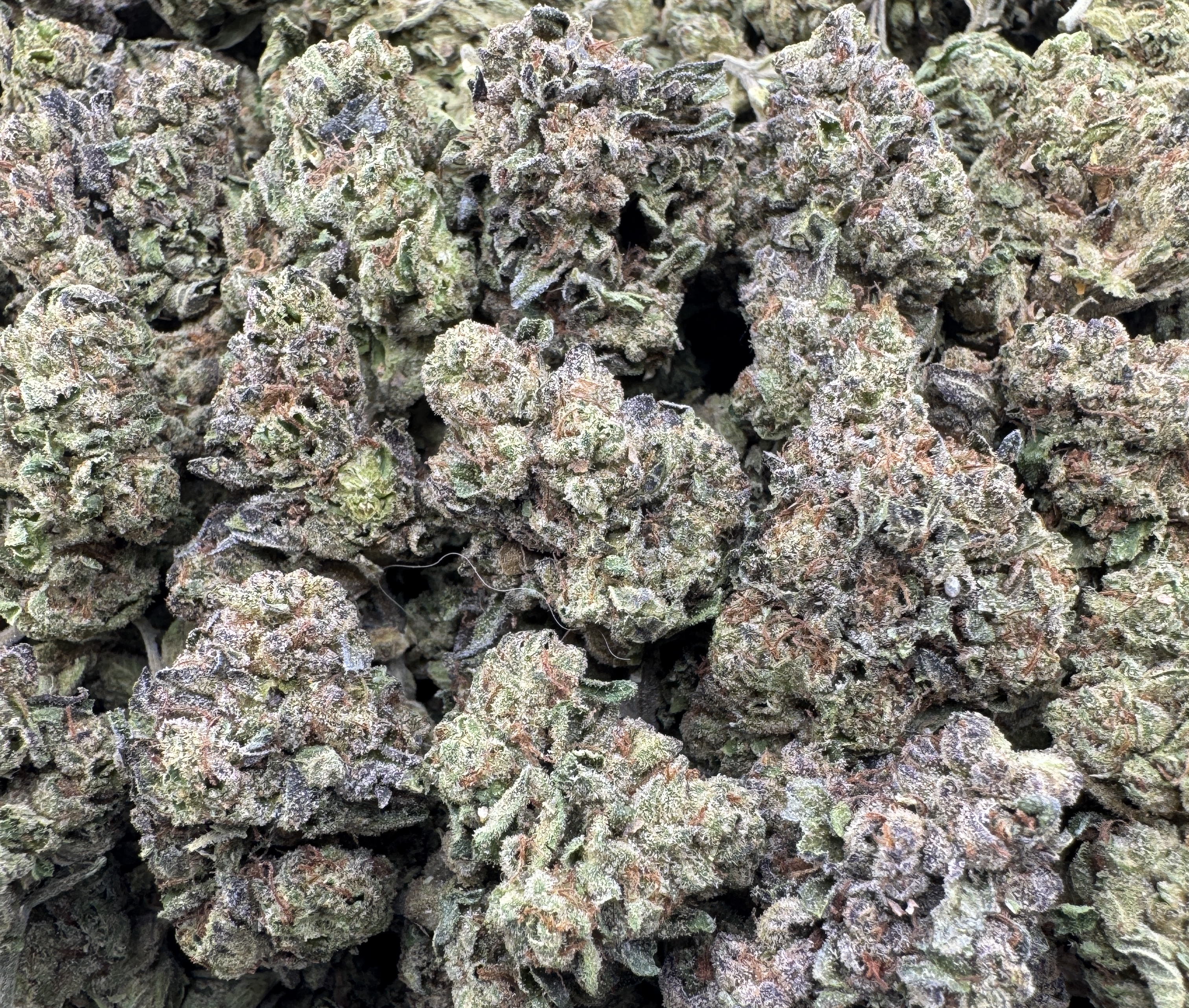 PINK STARBURST
