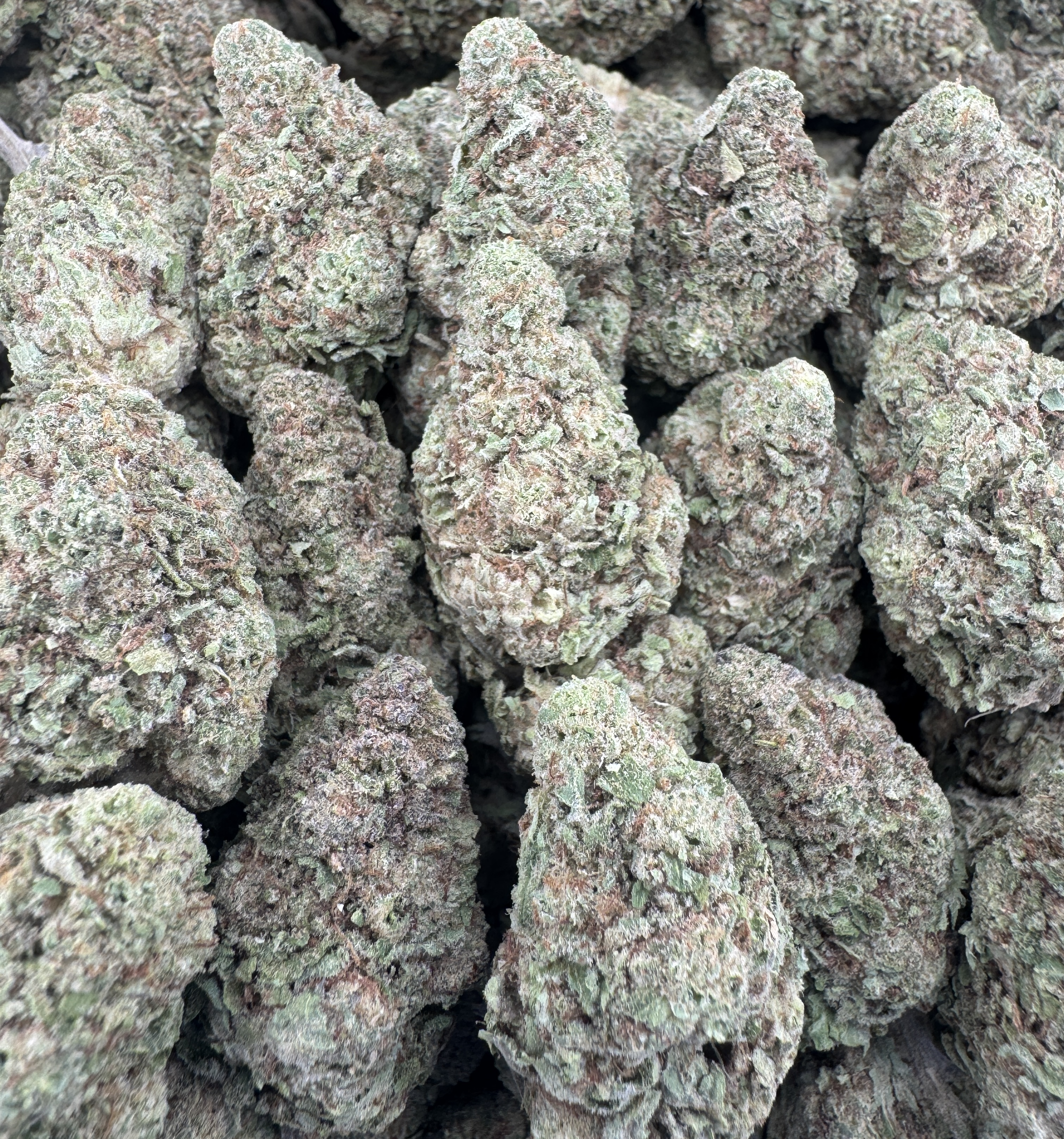 ANIMAL KUSH
