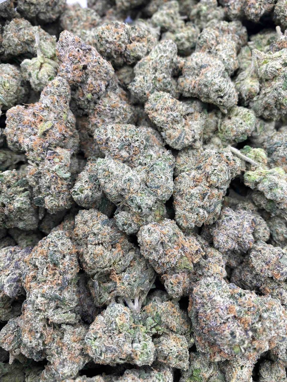 KRAZY KANDY