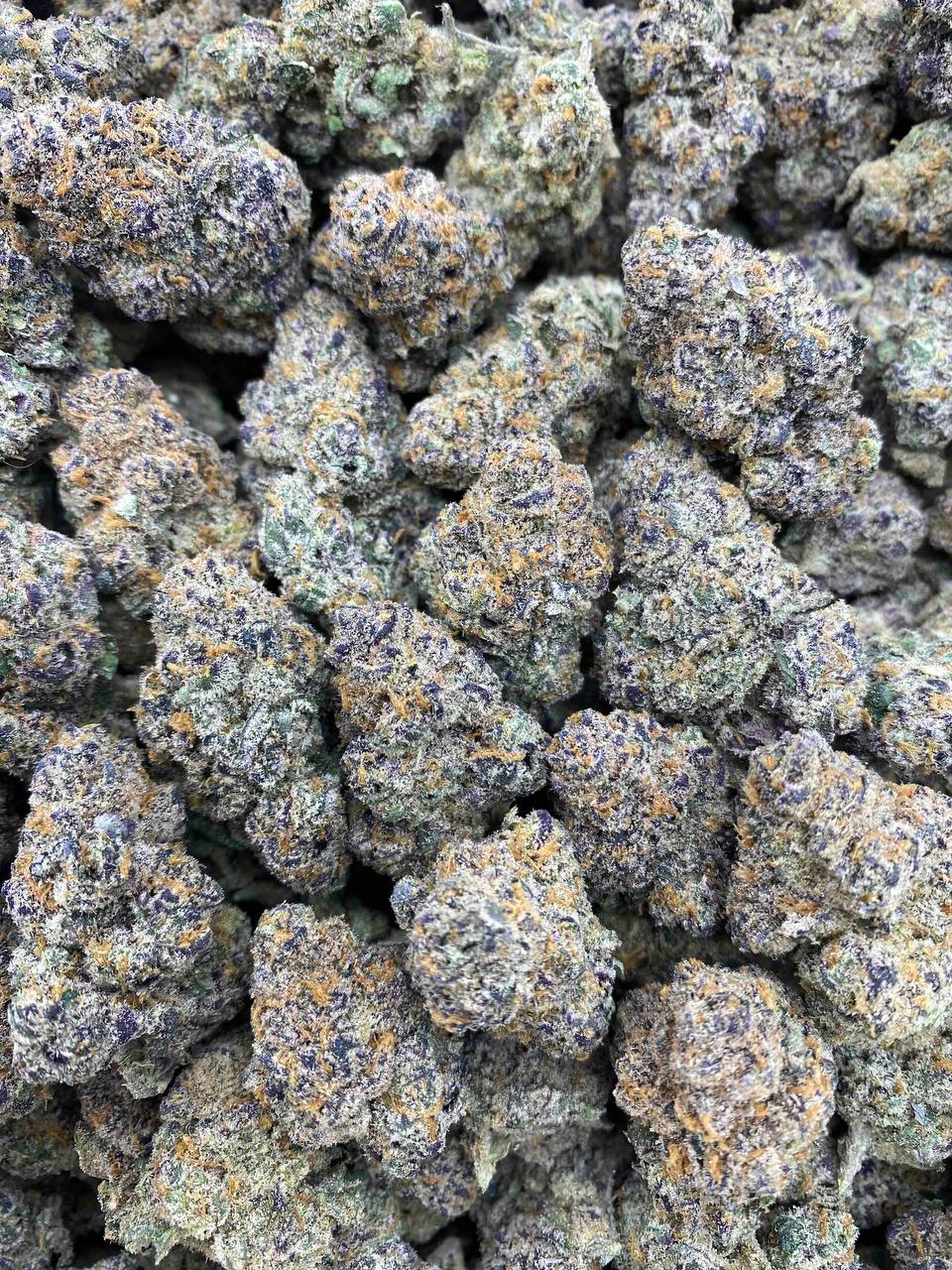 LEMON CHERRY SHERB