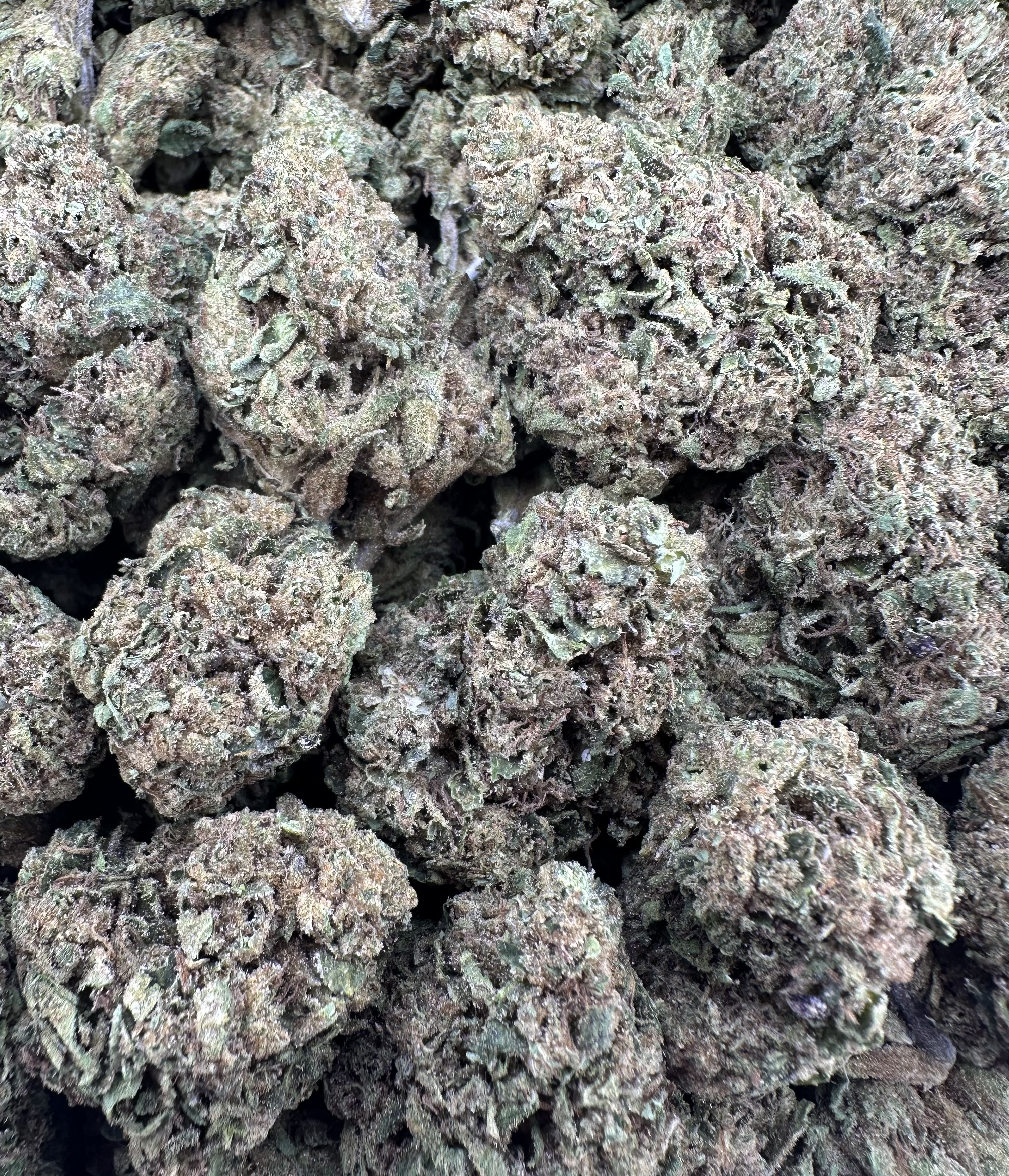 SHERBERT