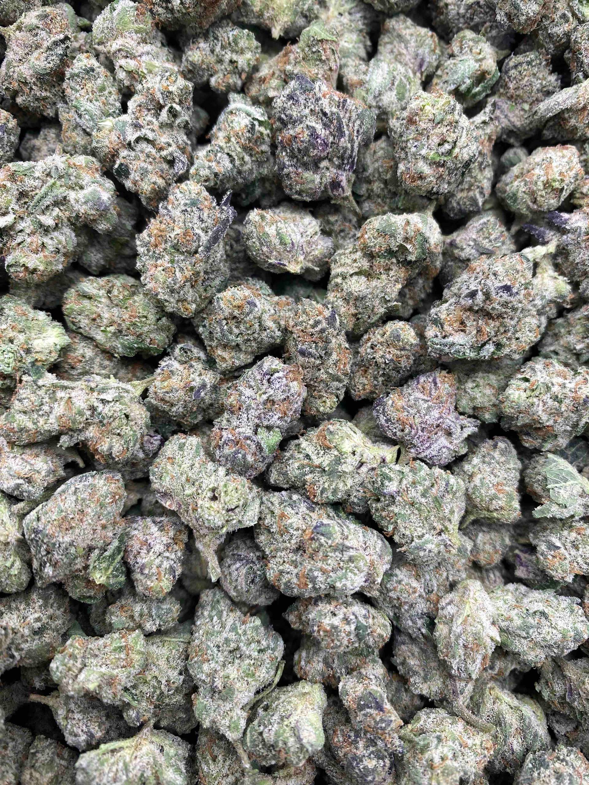 BLUE  NEPTUNES SMALLS