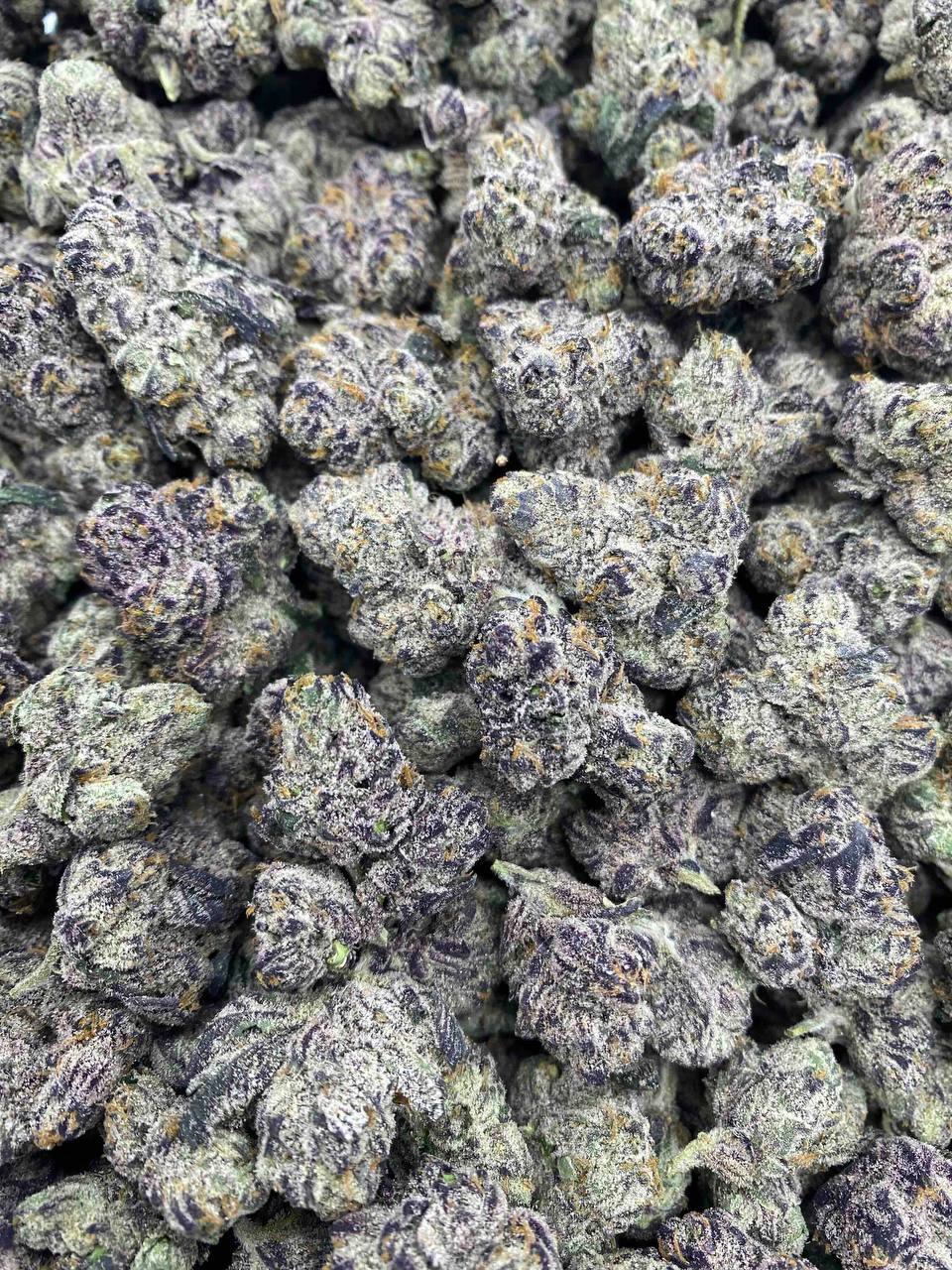 CANDY BUBBLE