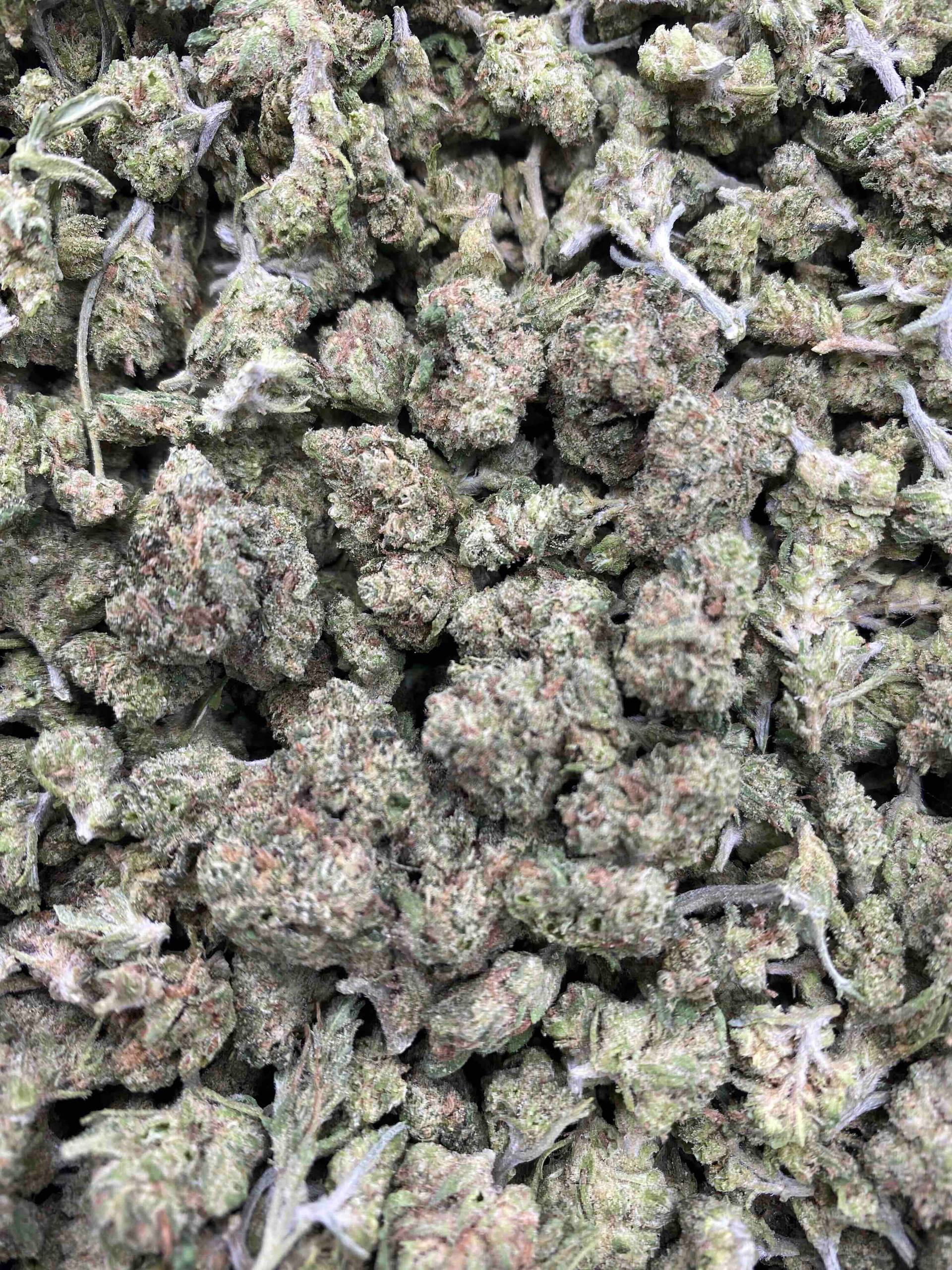 BLUE DREAM SMALLS