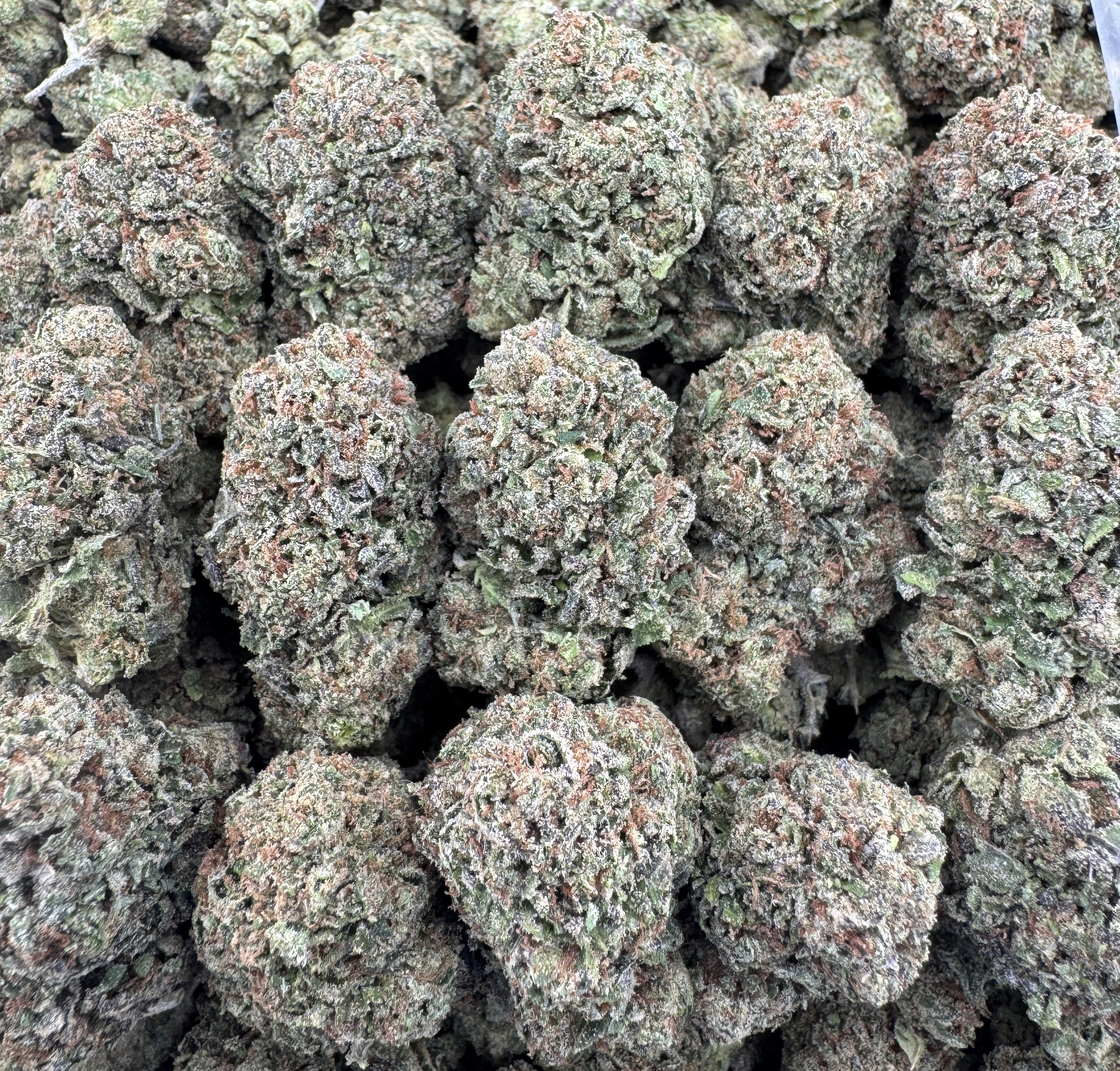 LEMON CHERRY CANDY