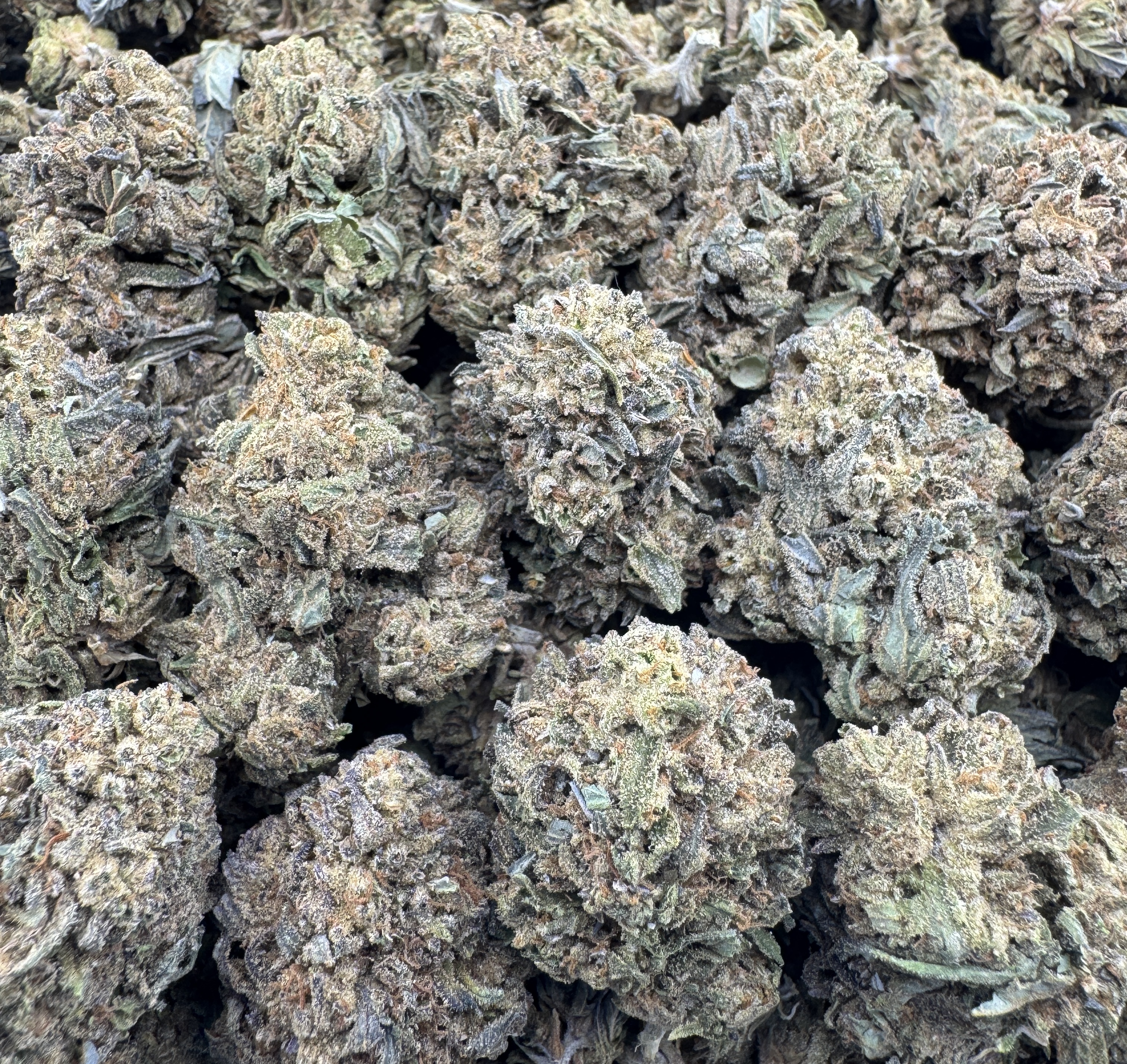WHITE LEMON CHERRY