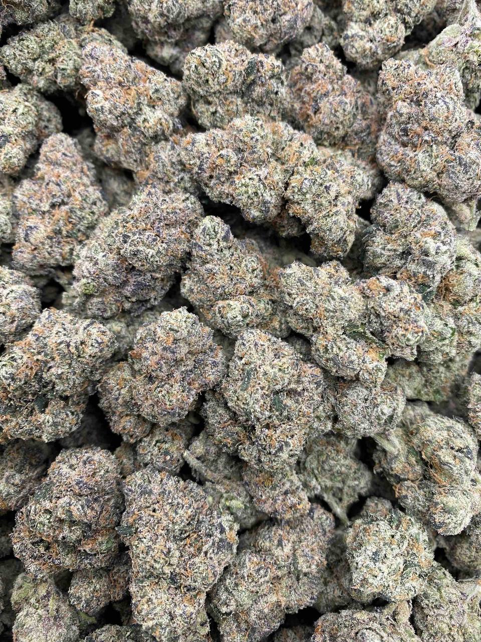 BUBBLEGUM