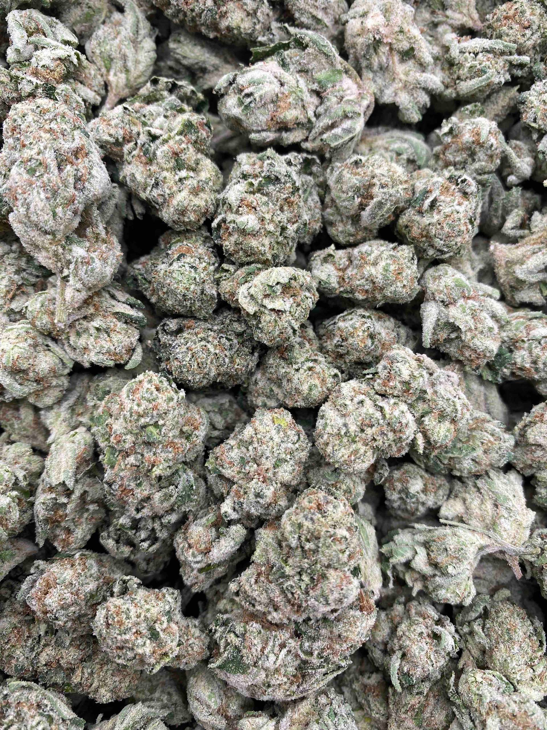 ZITTLEZ