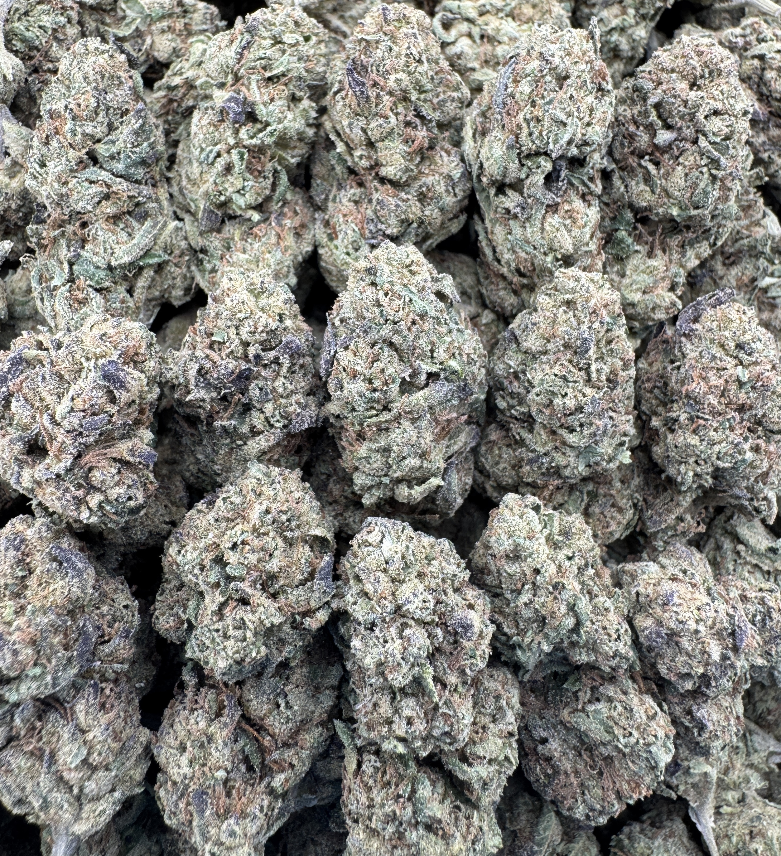 LEMON CHERRY GELATO