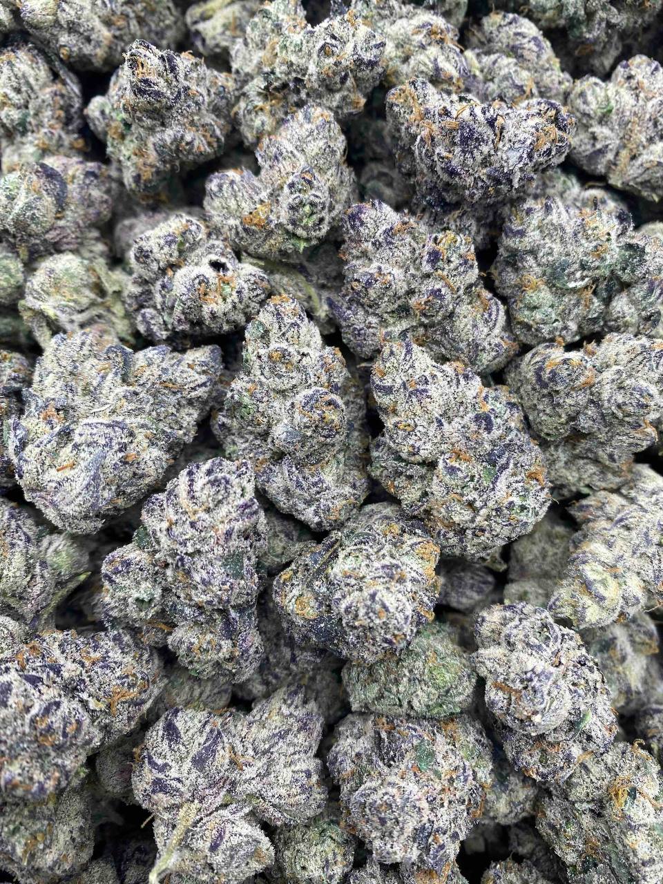 BLUE ZOURZ