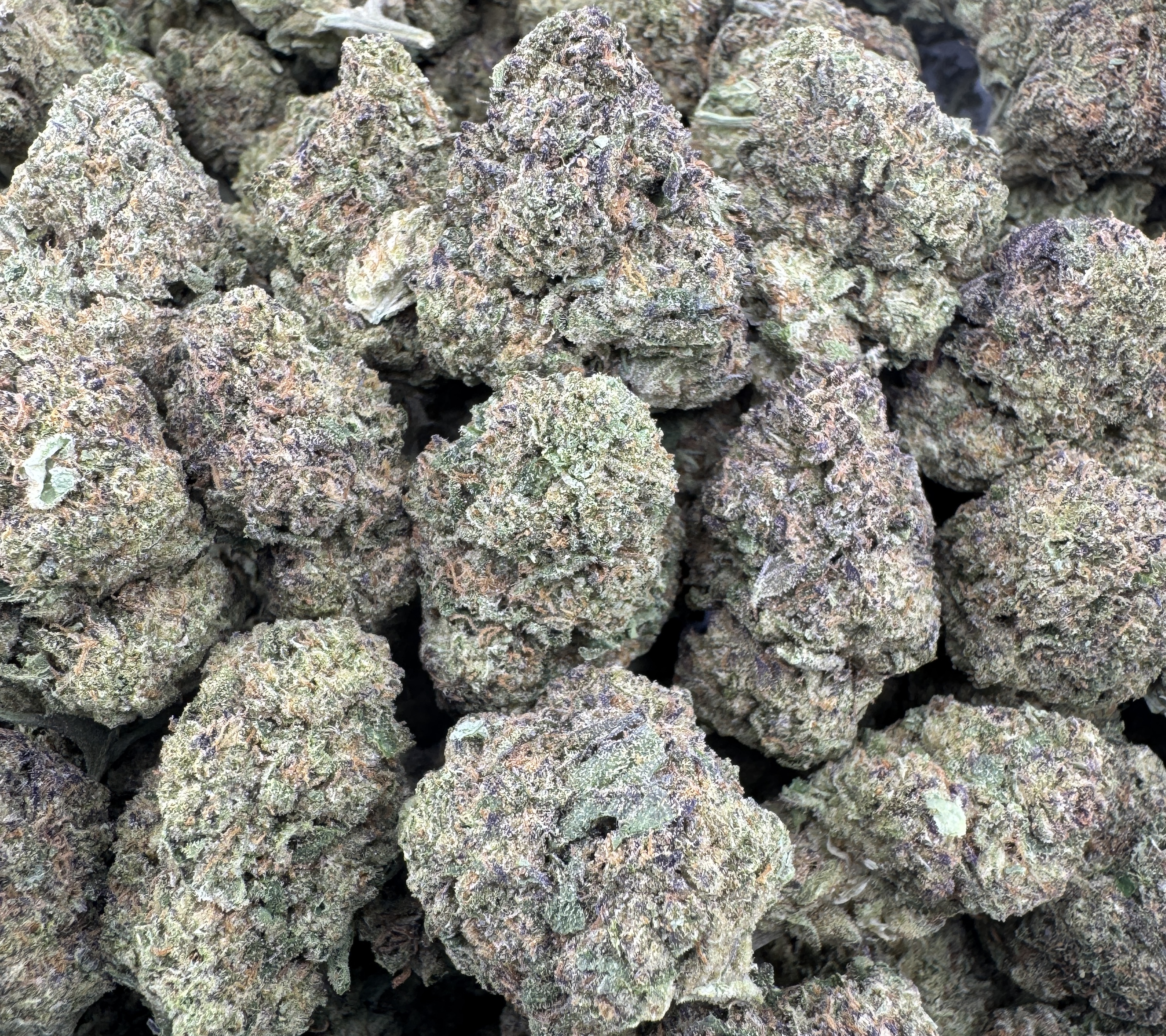 MIRACLE ALIEN COOKIES