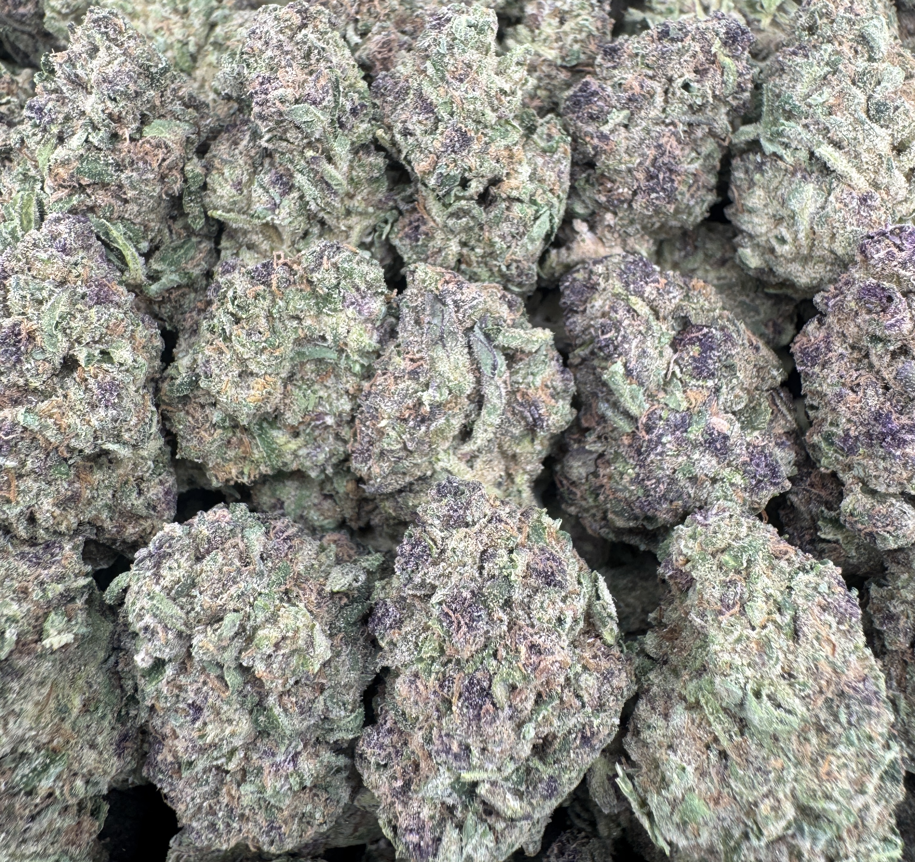 CREAM SODA