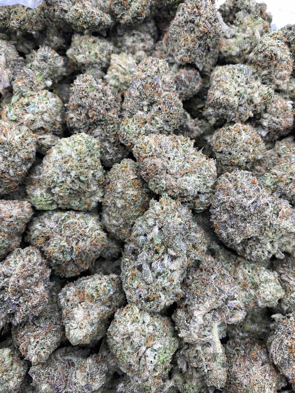BOOGER SUGAR