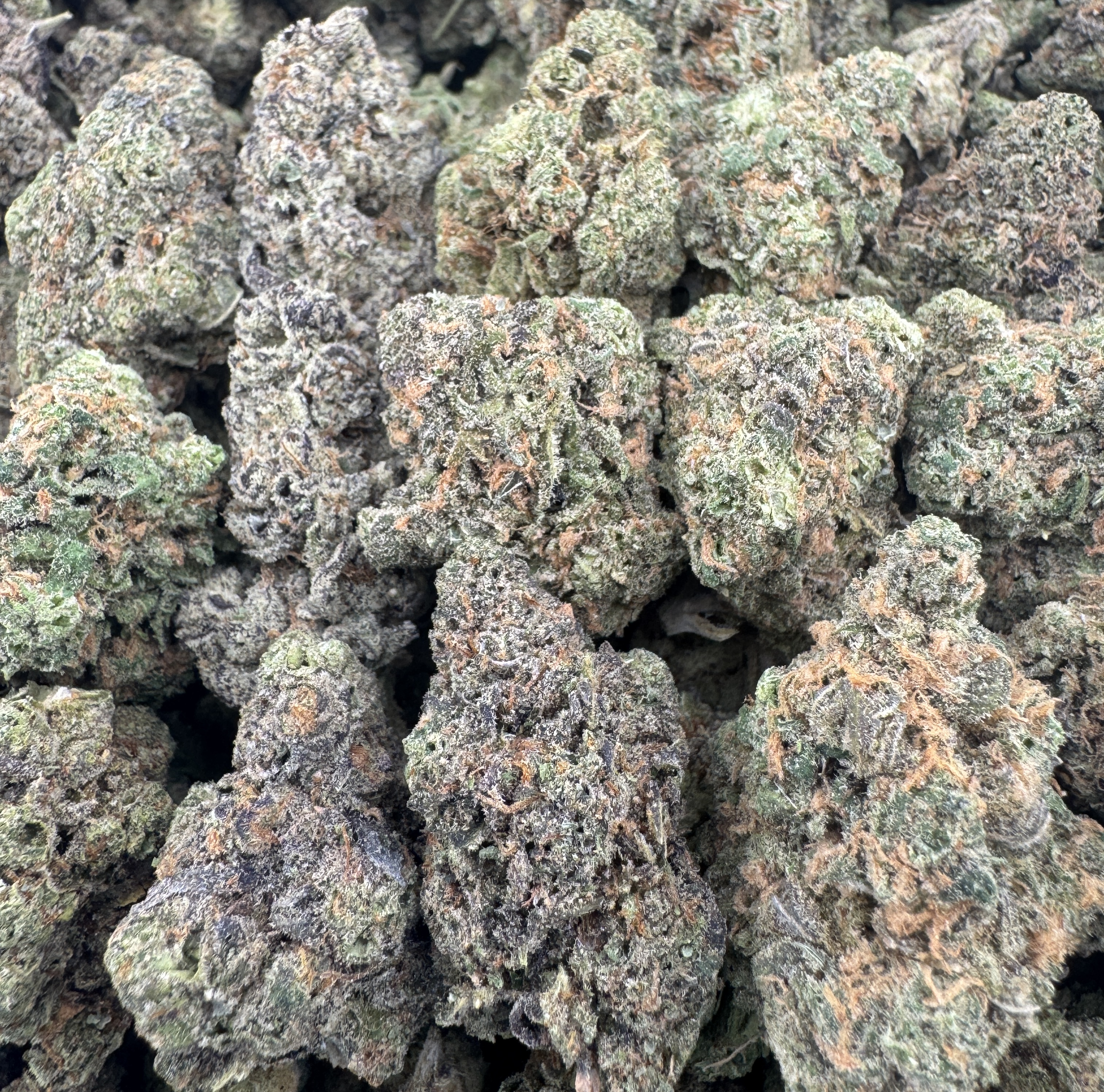 WHITE DIESEL