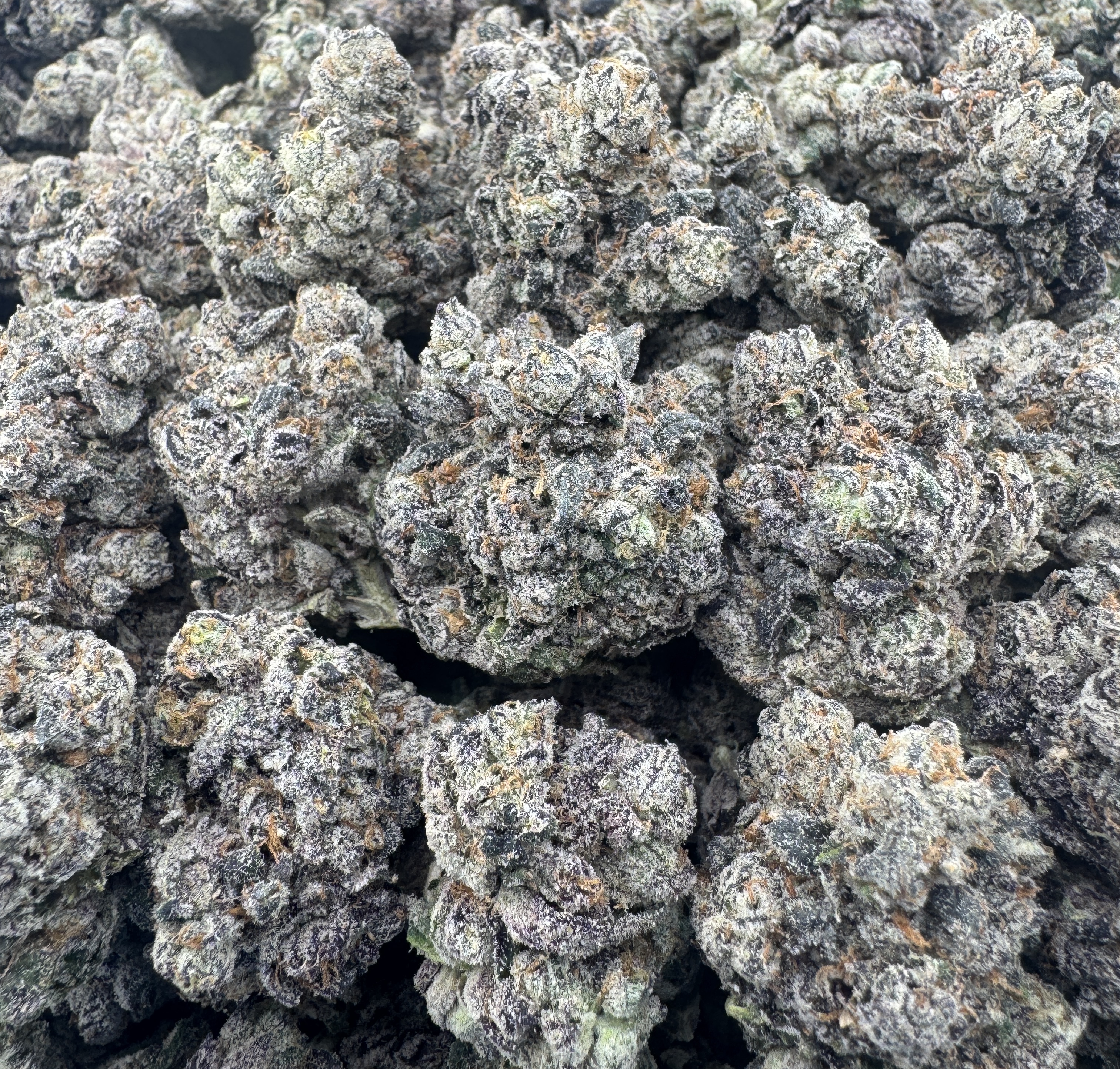 *PURPLE CANDY*