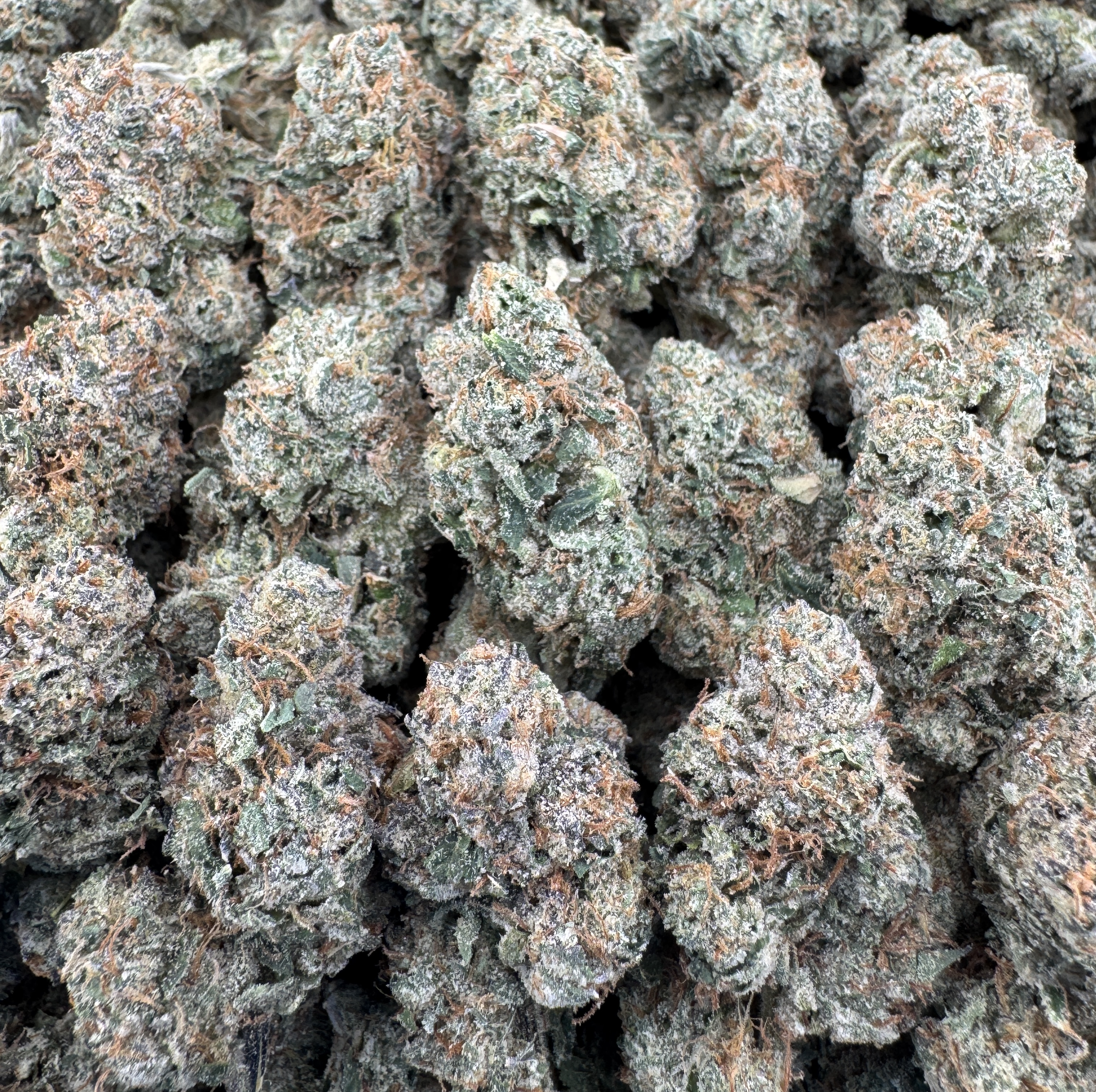 WHITE CHERRY CANDY MEDIUMS