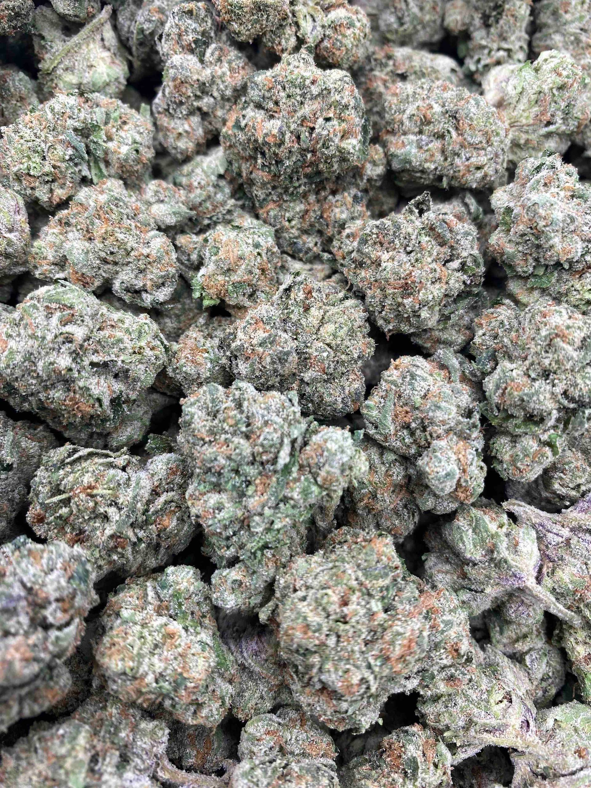 SUGAR TARTZ