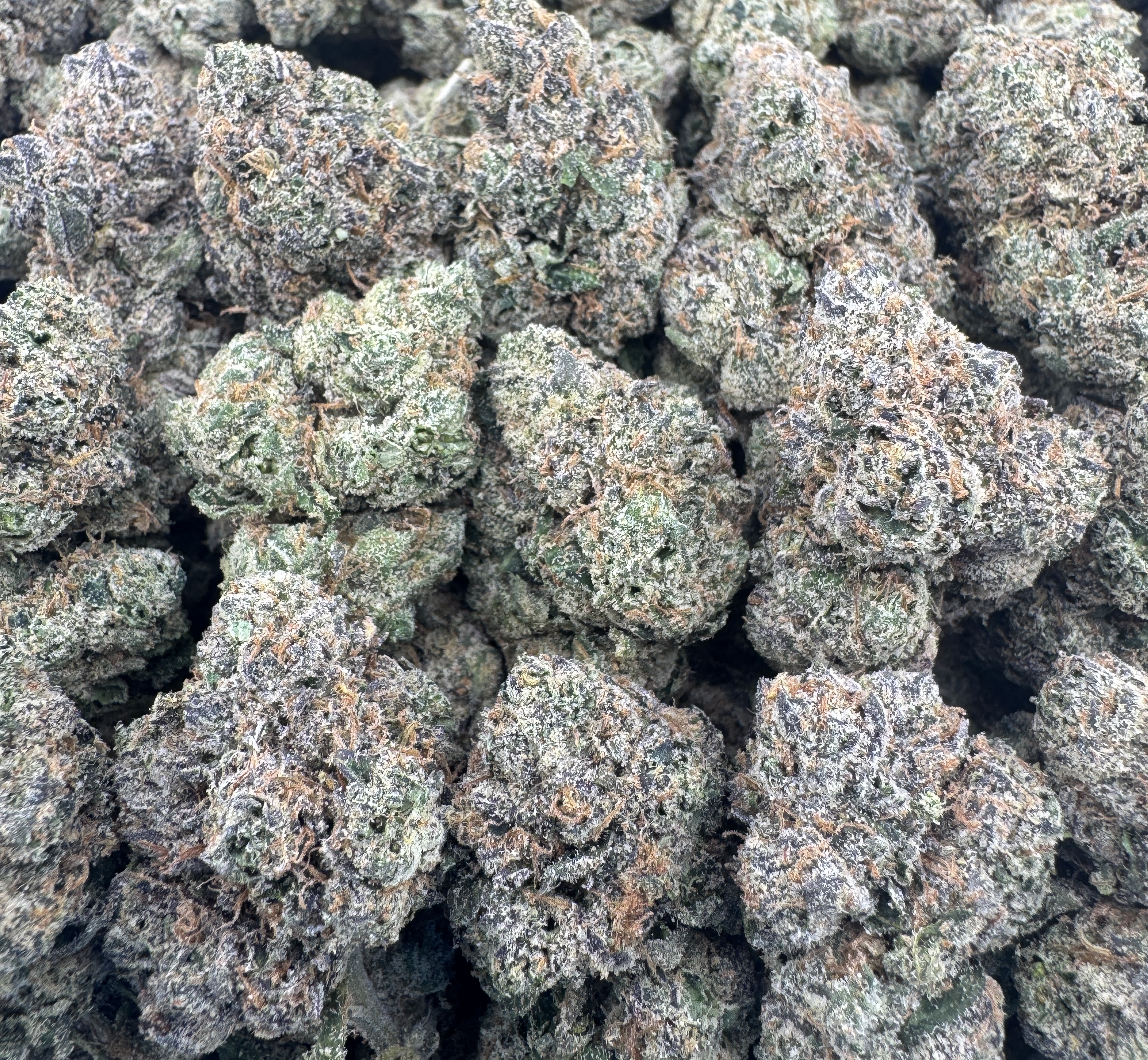 *SNOOP CANDY*