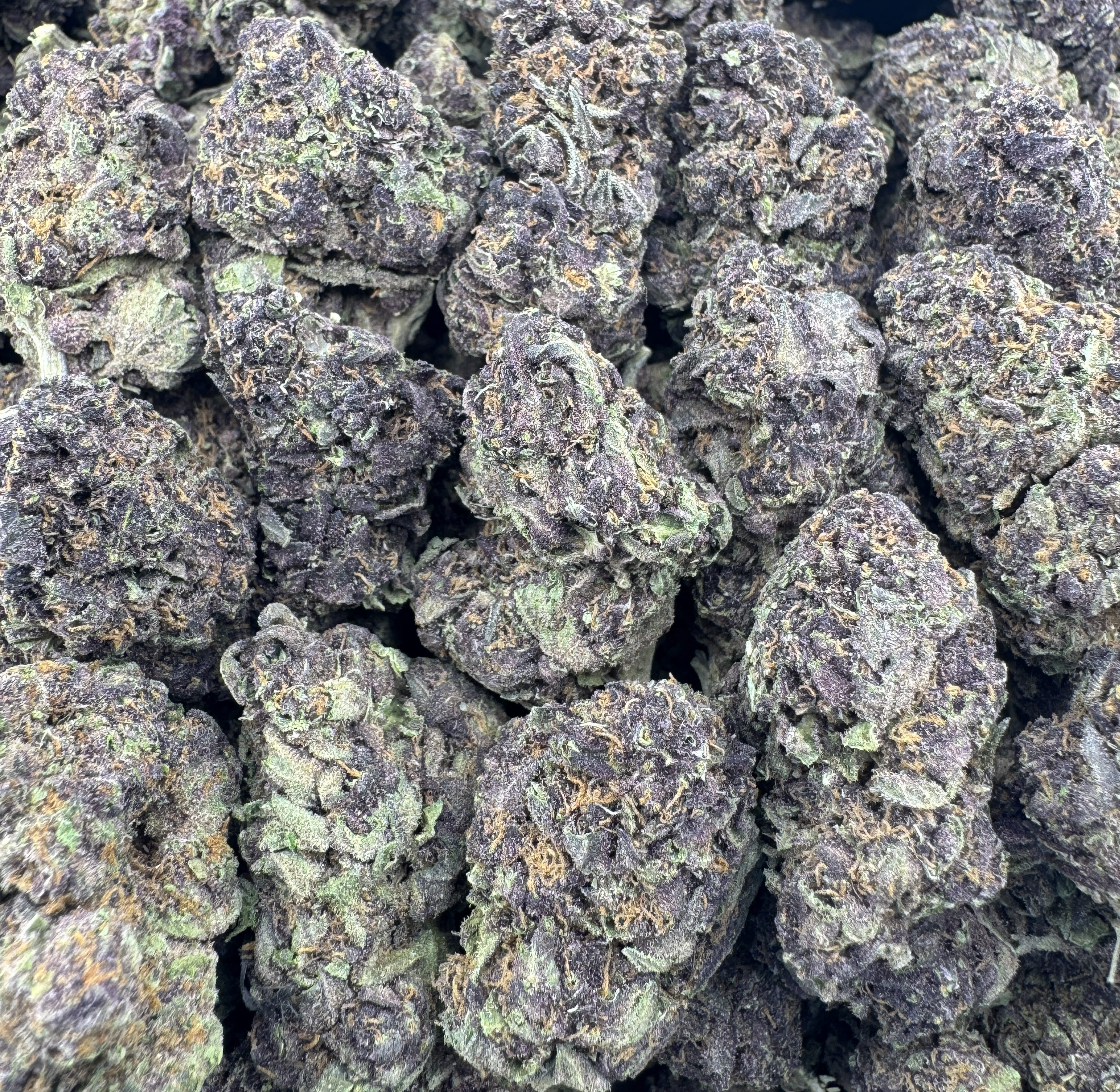 CHERRY BURST