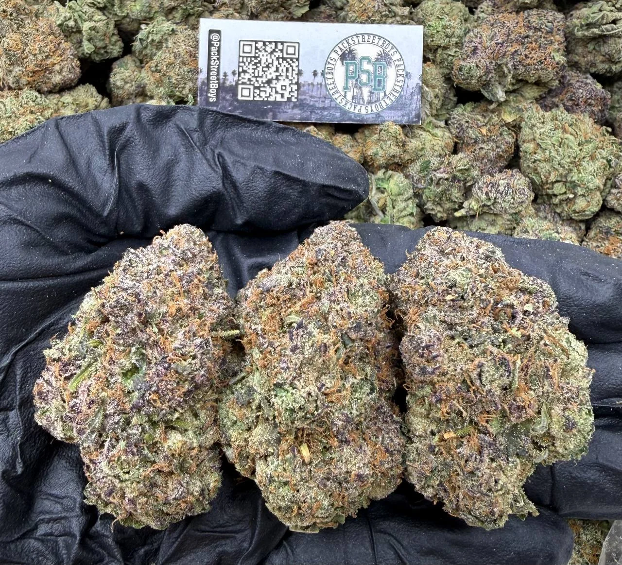Cali Berry 🍓🫐