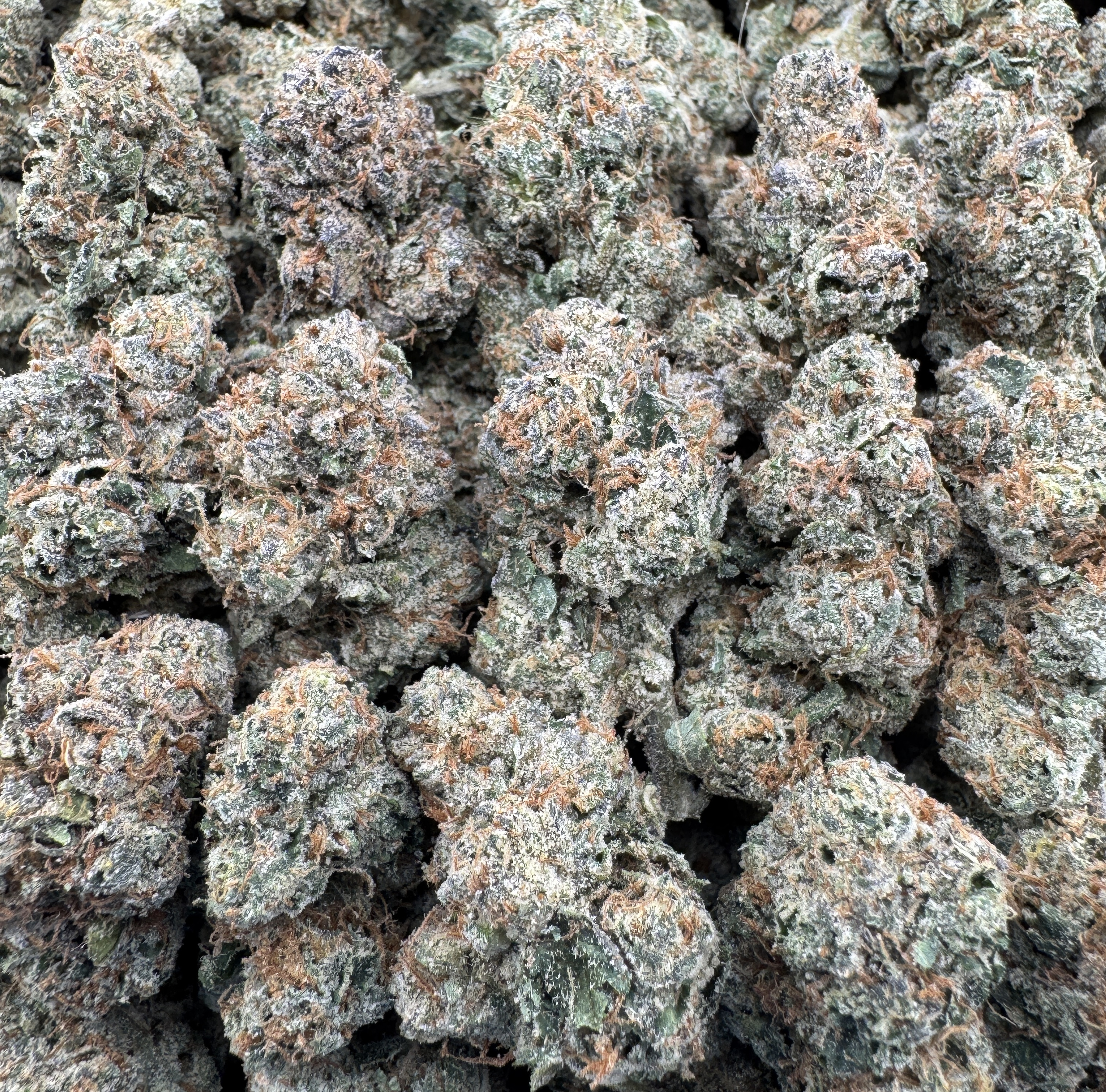 LCG