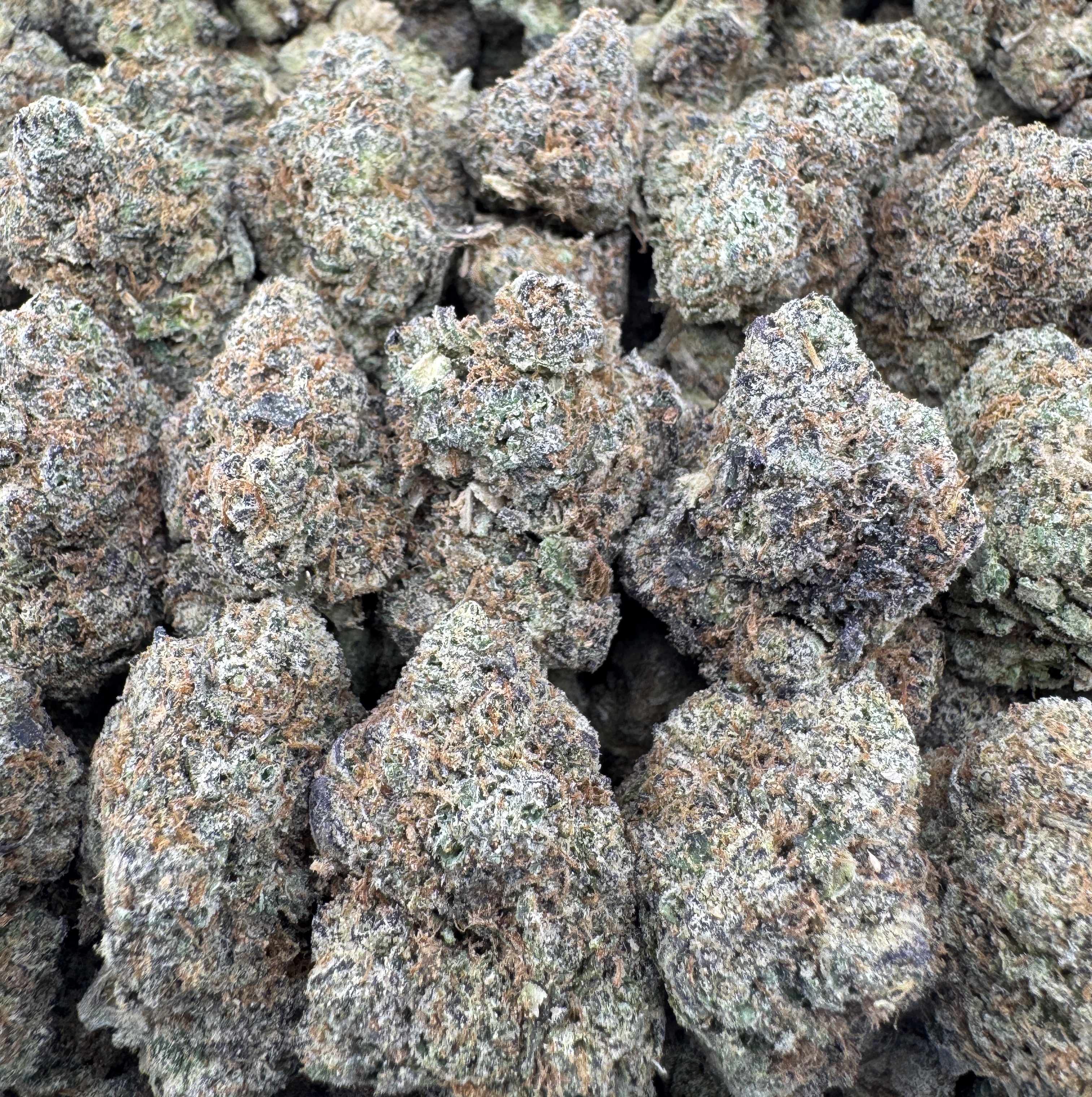 BLUE RASPBERRY RUNTZ