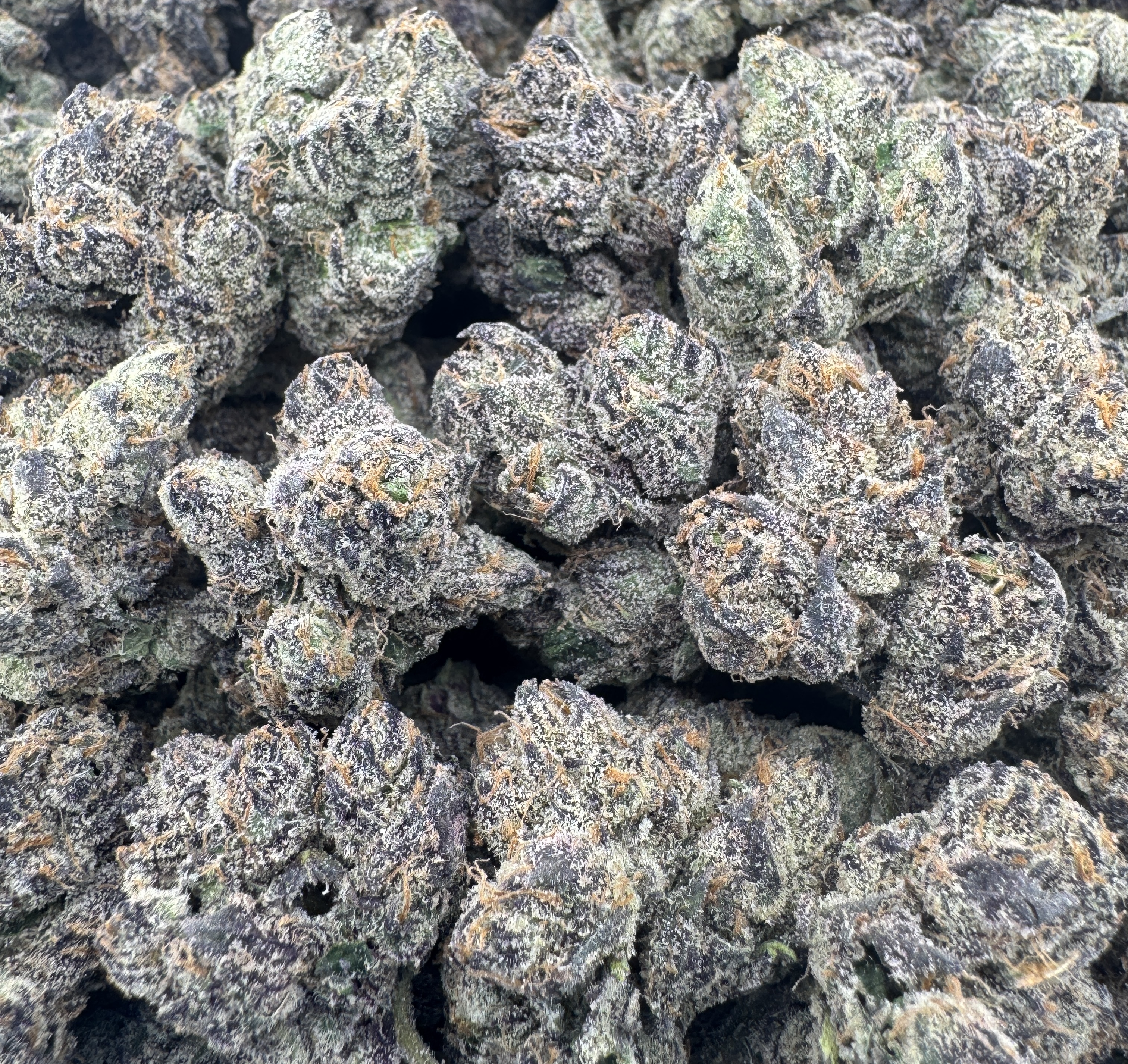*GUMBO X KUSH BERRIES*