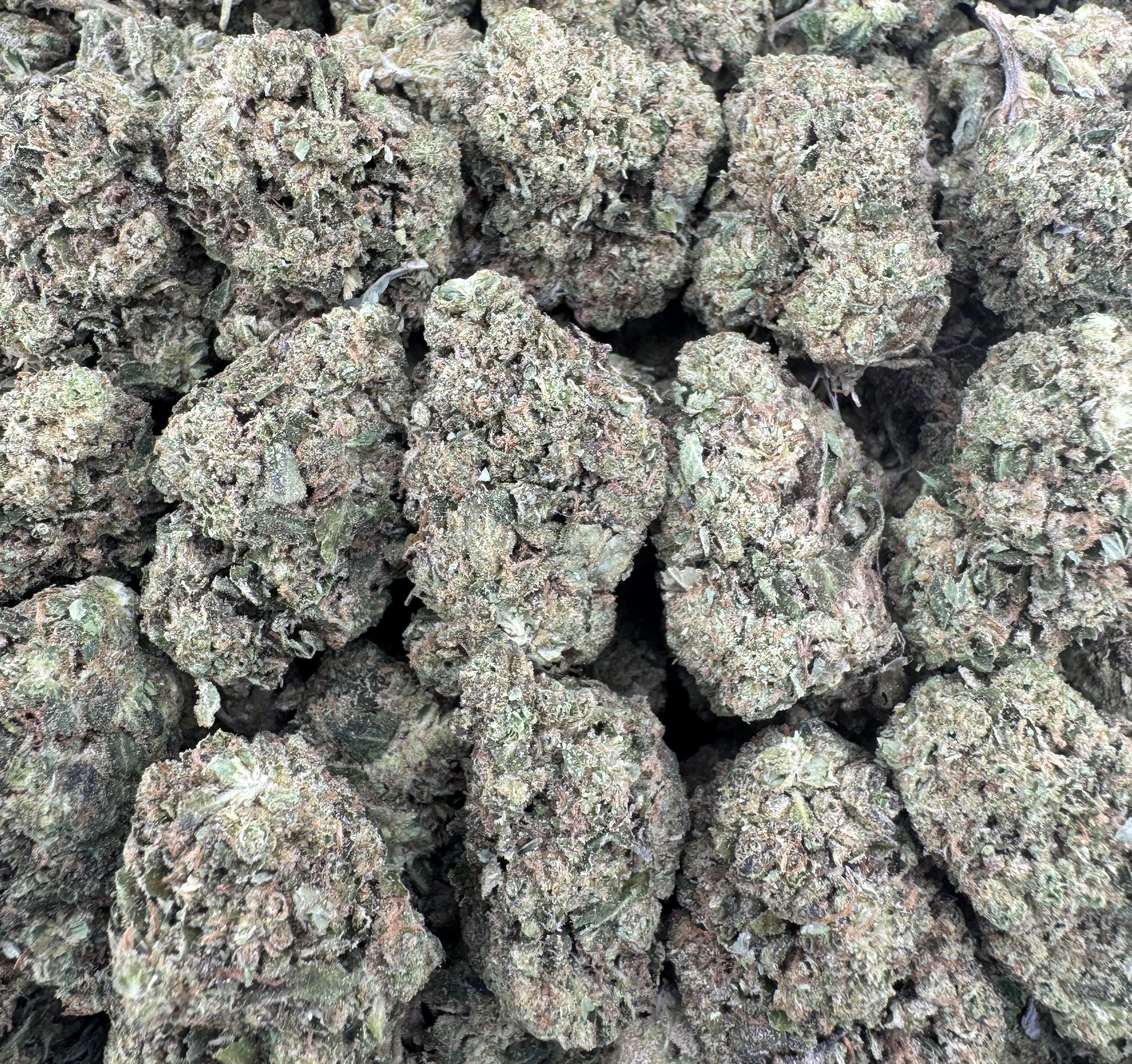 CHEMDAWG