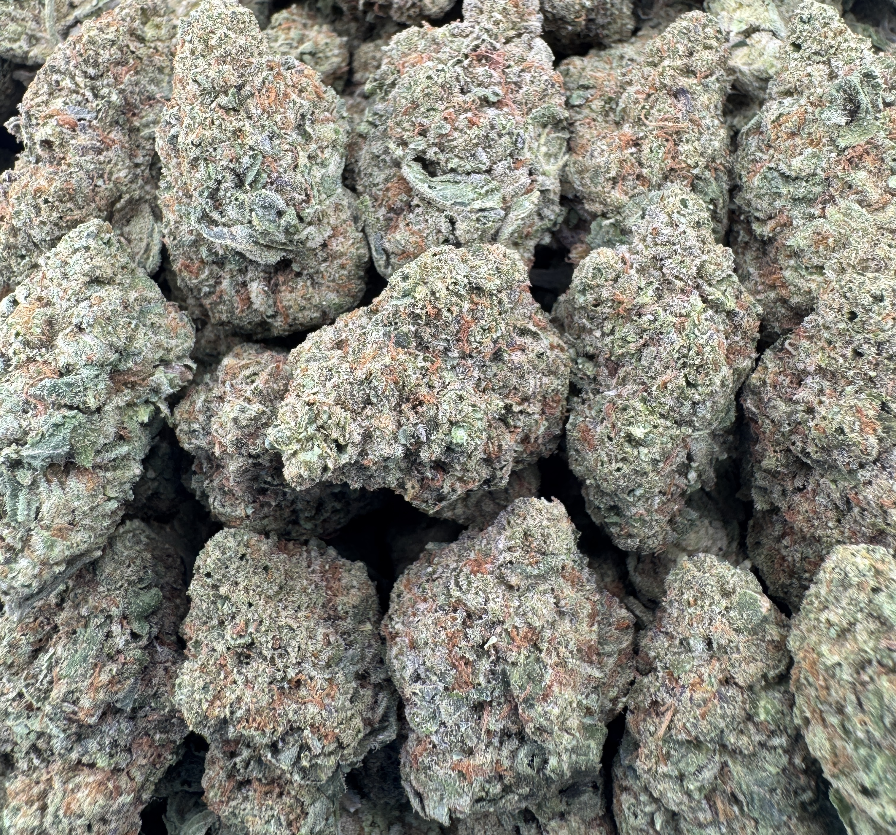 SLURRICANE