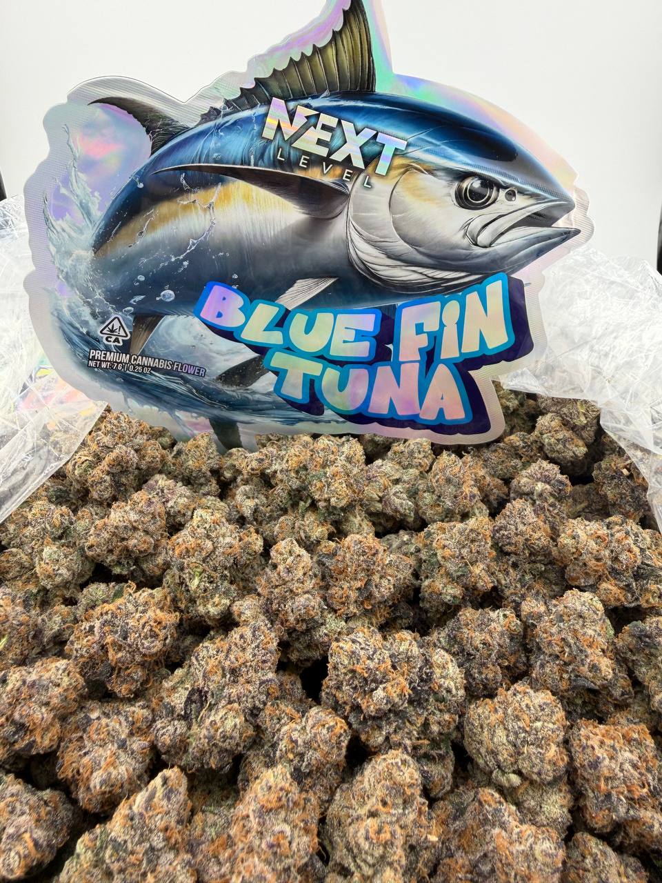 🚨 BLUE FIN TUNA! 🐟💨