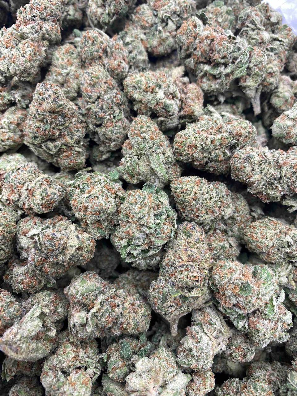 PINK RUNTZ