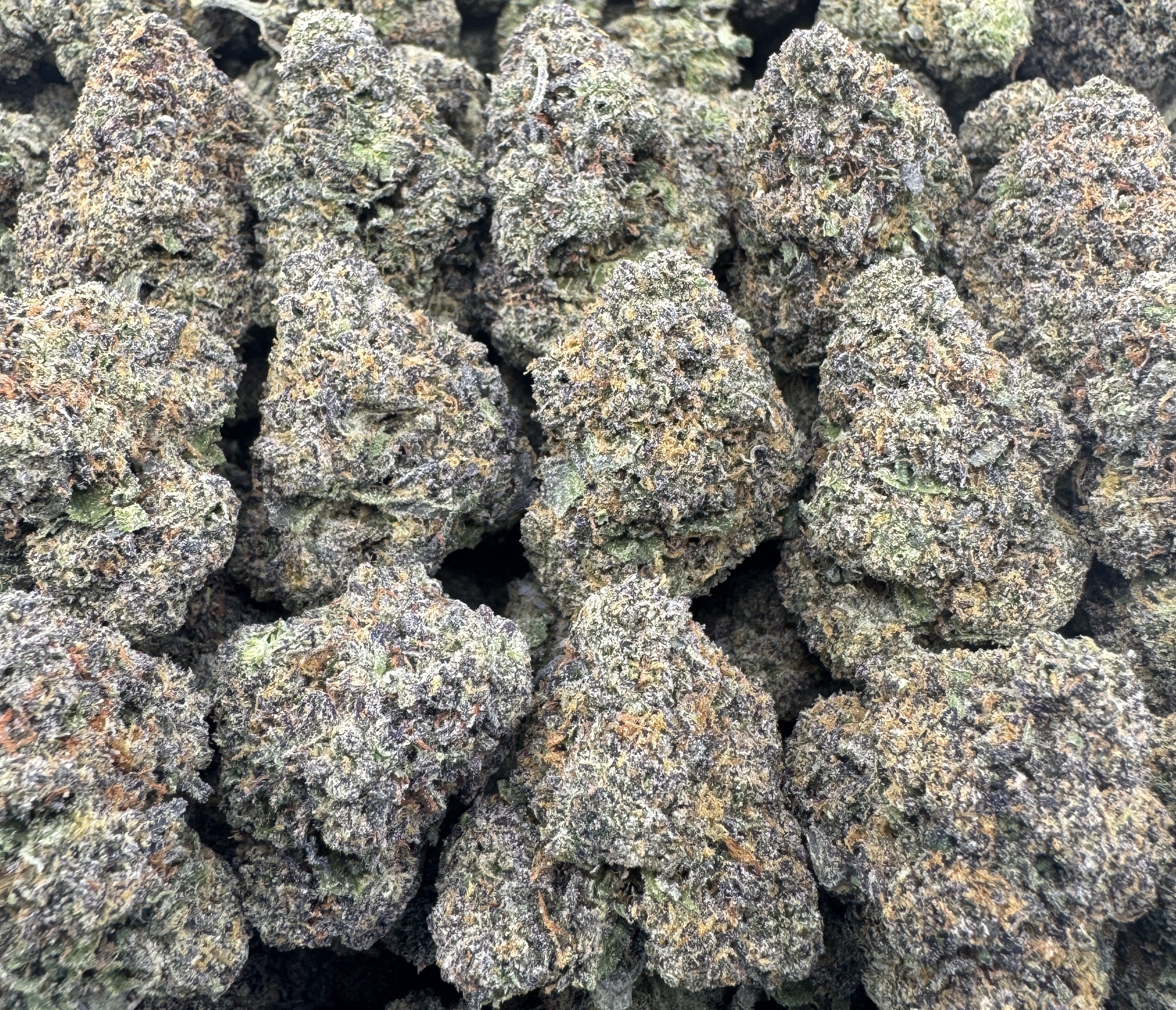 BLUE CHERRY BUBBLEGUM