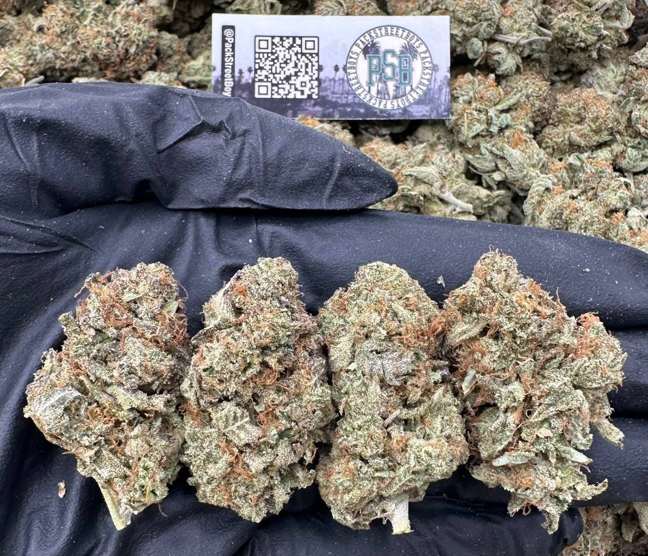 Candy Fumez🍭💨