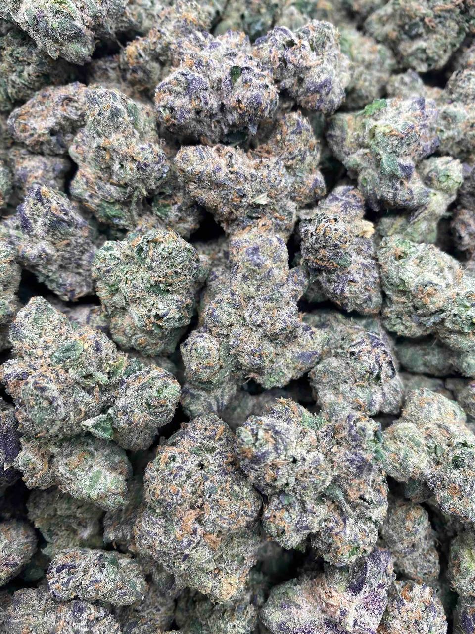 LEMON CANDIES