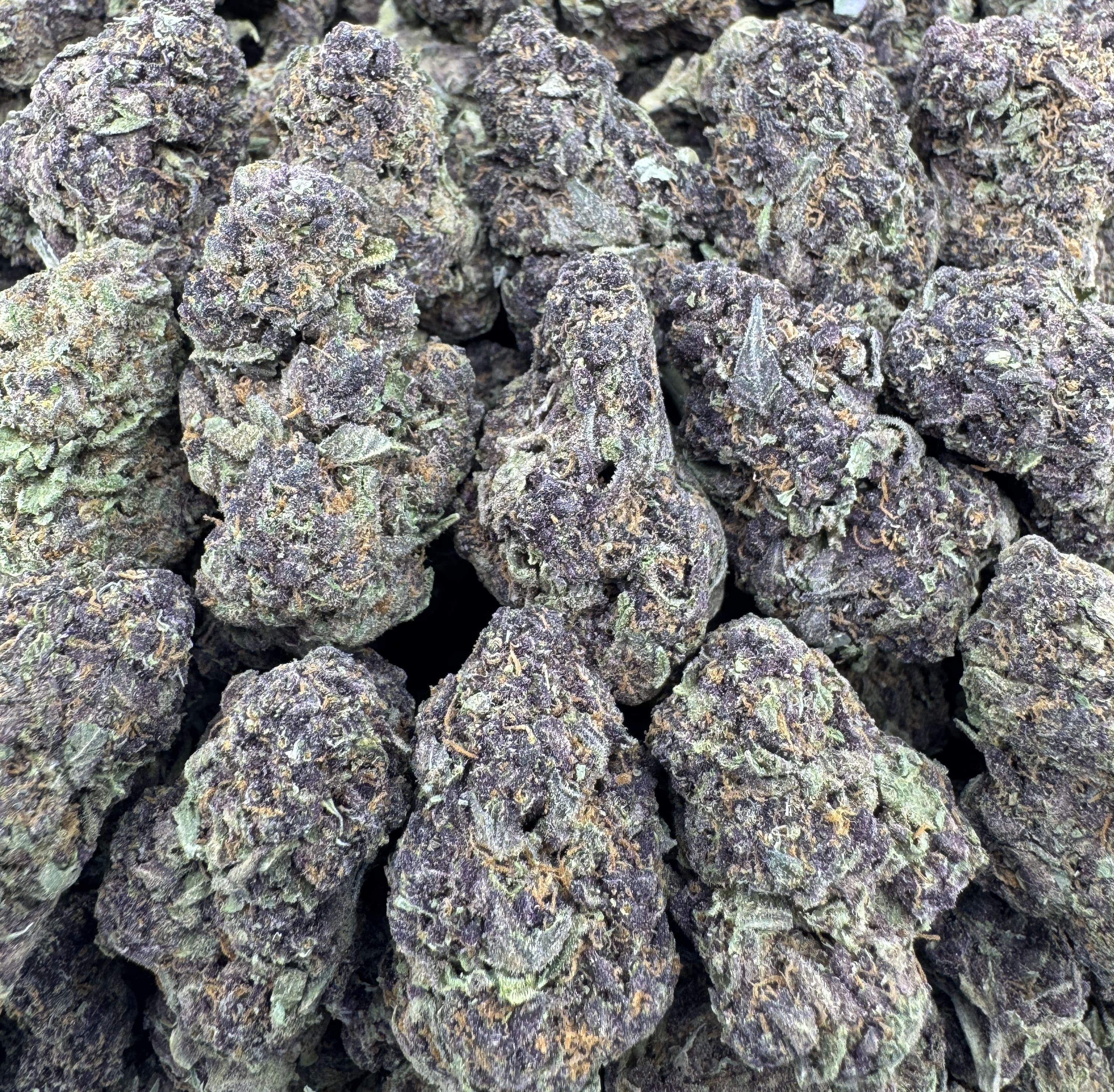 RED ZLUSHIE
