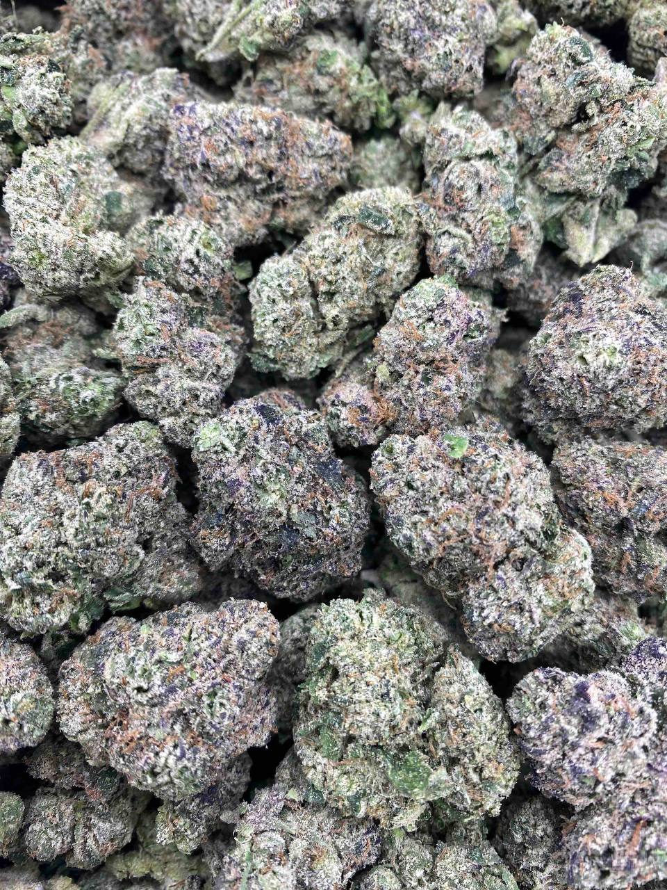 LEMON CANDY GELATO